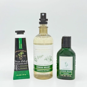 Eucalyptus and Spearmint Bath & Body 3-Piece Aroma Bundle | Hand Cream, Essential Oil Mist and Travel Size Shampoo