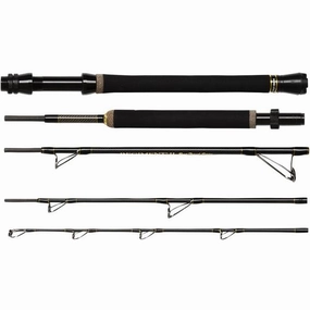 Penn Regiment II Travel Boat Rods