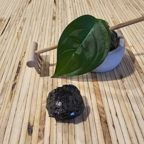 The Ultimate Shungite: Rare One-Piece Nugget - Mount Fuji